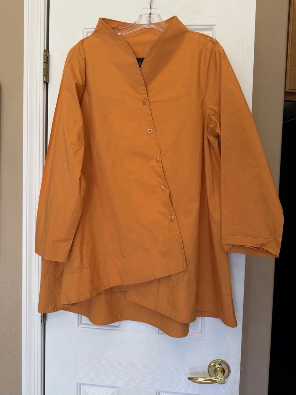 Asymmetrical Button-Front Blouse in Burnt Orange